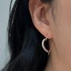 THE BORING Moissanite Heart Hook Earrings