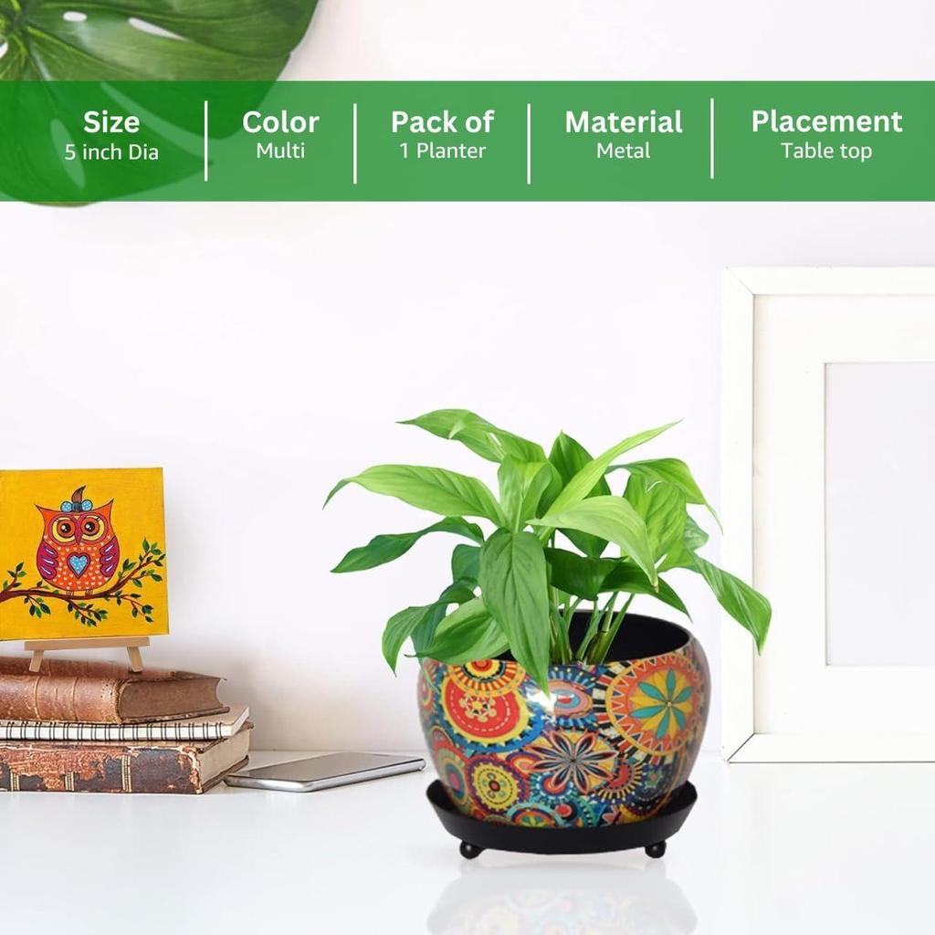 5 Inches, Lily Designer Metal Plant Pot with Saucer Plate | Indoor Outdoor Home Decor Item for Garden Plants Flower, Balcony, Patio, Living Room,