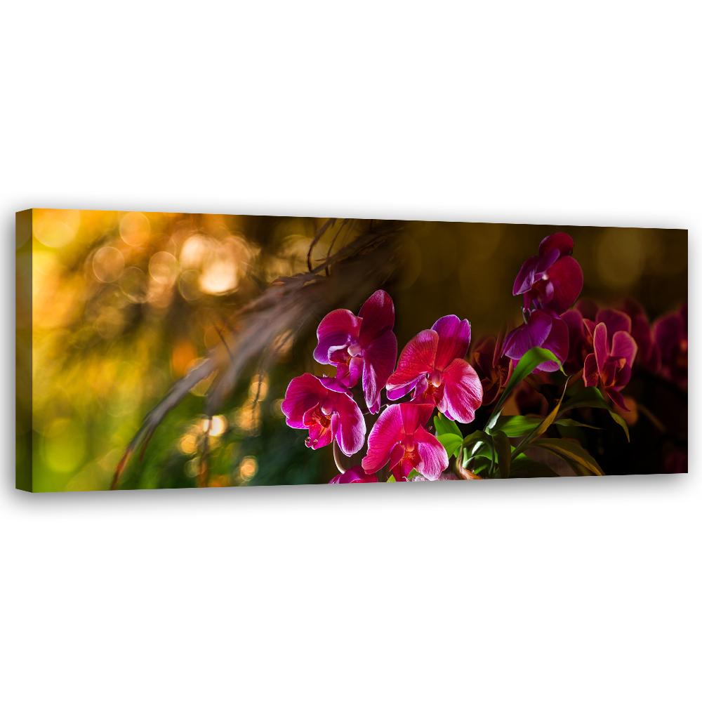Canvas Print, Flowers Zen Orchid