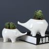 Cute Cartoon Animal Elephant Succulent Flower Pot Simple Creative Desktop Plant Decoration Ceramic Flower Pot