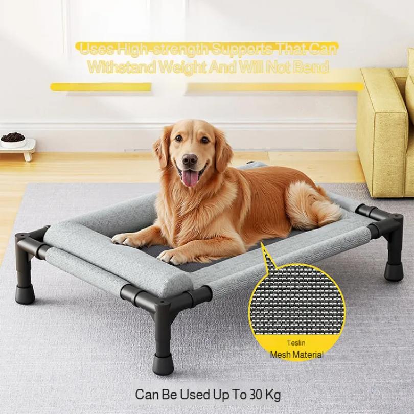 Raised Mesh Medium Large Cat Dog Off-the-ground Pet Bed Removable and Washable Breathable Pet Sofa Moisture-proof with Pillow