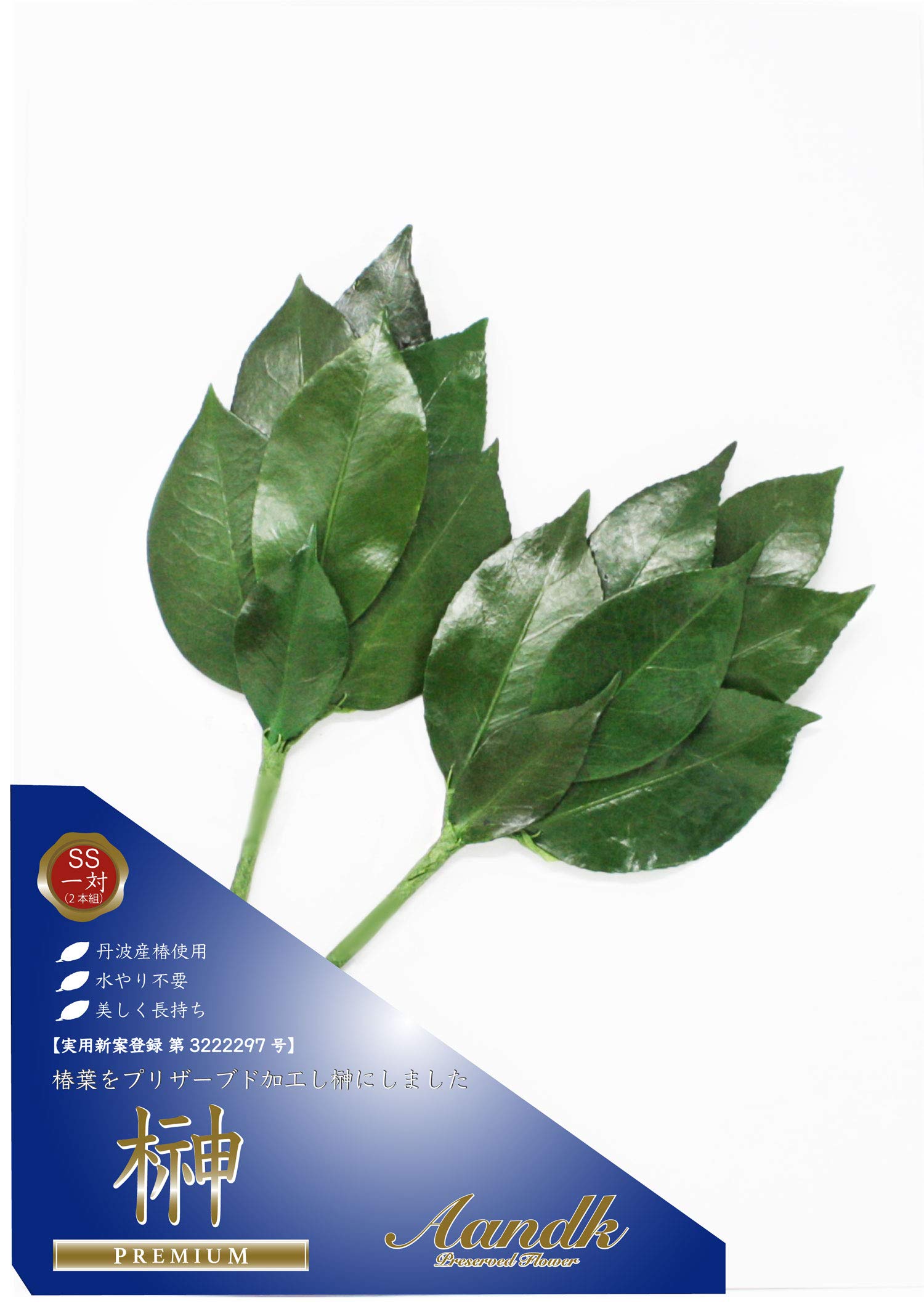 

A&K Premium Preserved Sakaki Tree [SS Size 1 Pair Approx. 23cm Tall x 10cm Wide] Made with Premium Tanba Camellia Leaves, Miniature Artificial