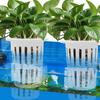 Aquarium-Pflanzenhalter Fischbecken Schwimmender Wasserpflanzen-Topf Aquaponik Fester Pflanzkorb Für Unterwasser-Bepflanzten Teich Vase