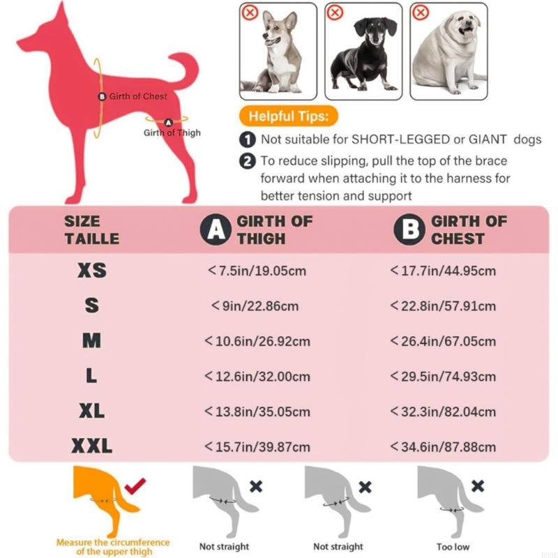 Attelle de soutien pour la patte arrière du chien pour déchirure et dysplasie de la hanche avec sangle réglable et stabilisateurs Support de jambe B03E
