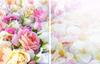 2x GLASS PROTECTIVE PLATE FOR STOVE 40x52 FLOWERS