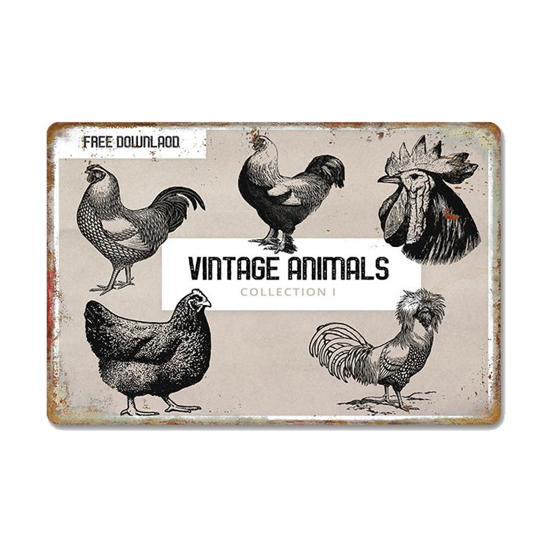 Chickens Tin Signs Metal Vintage Poster Rooster Hens Eggs Retro Plaque Wall Stickers Painting for Farm Door Home Decor
