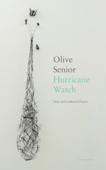 Hurricane Watch by Olive Senior Paperback Book 9781800172166