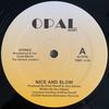 12inch Record OPAL  Nice And Slow RH001 REMOTE 2026 US SoulFunk
