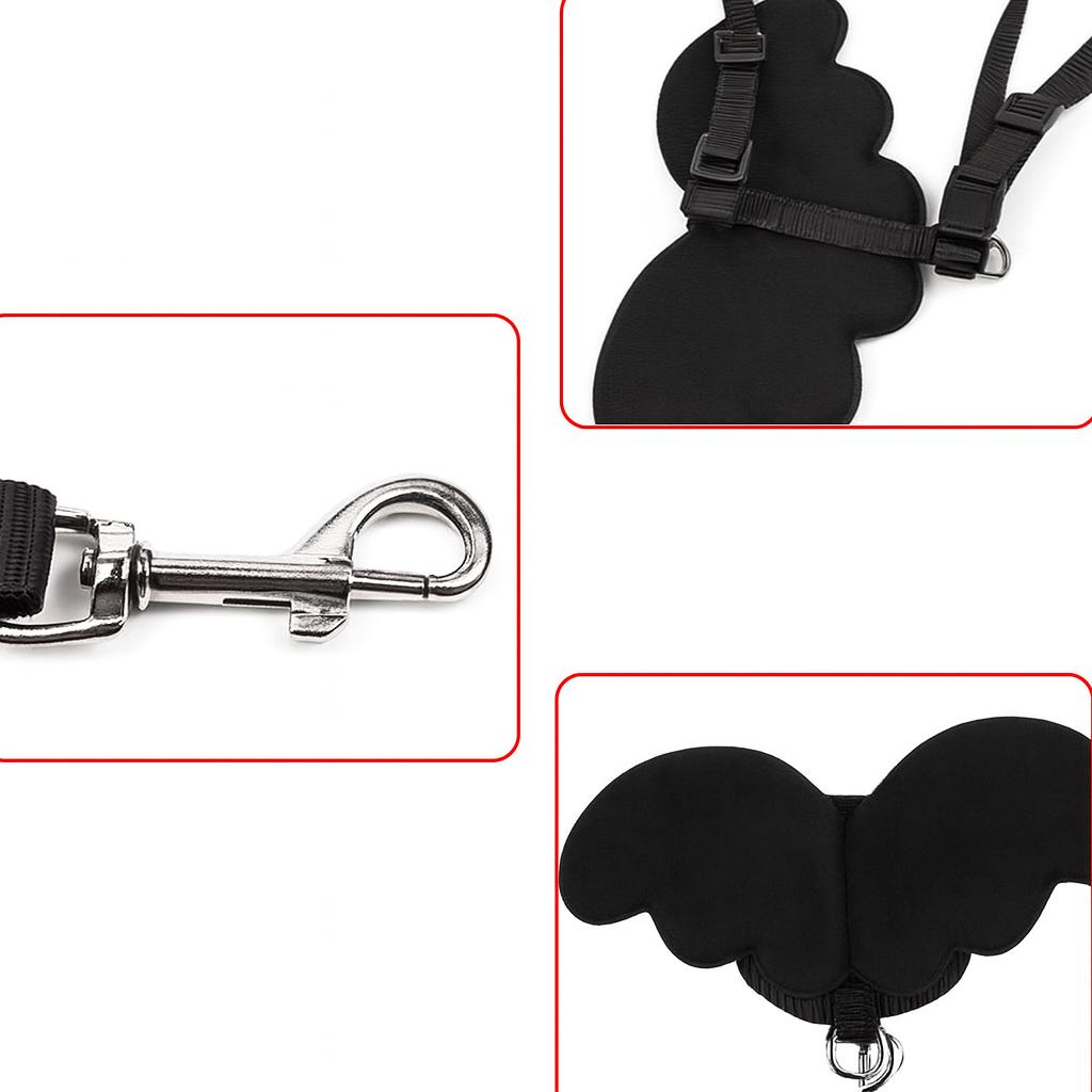 Harness with wings for small dogs and cats with a leash S 2-3.5 kg (black)