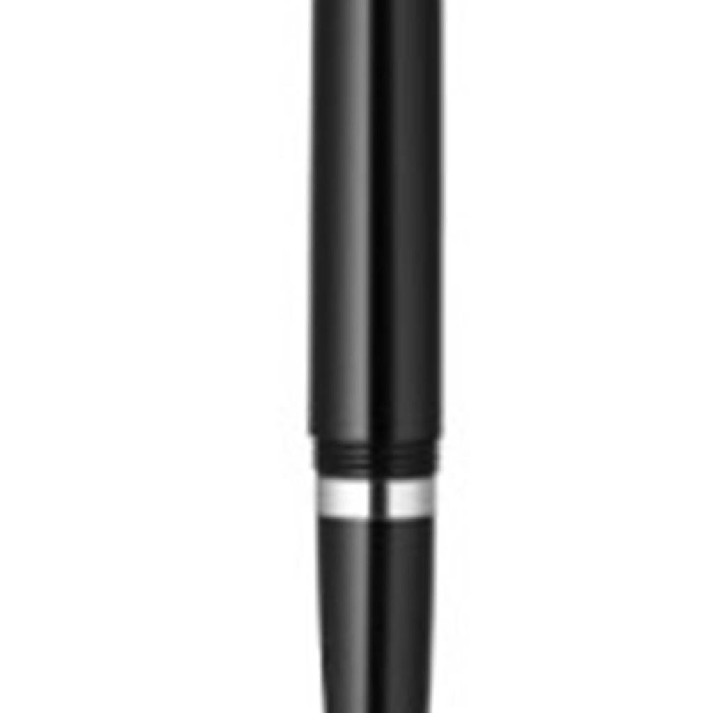 Black Writing Fountain Pen 0.38mm Fine Nib Ink Cartridge Change Signature Pen for Business