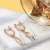 Fashion geometric zircon earrings women's light luxury rose gold earrings