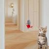 Interaction Cats Toy Mouse with Feathered Tail Elastic Door Frame Hanging Teaser Toy for Cats Entertainment Toy 2PCS