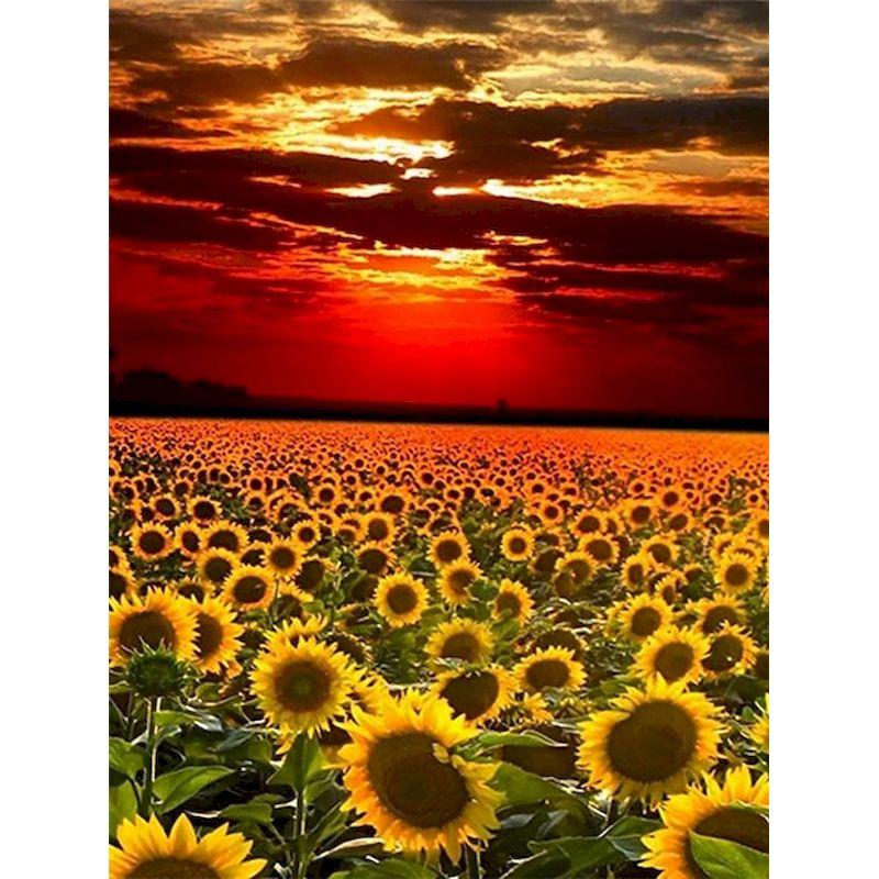 Full Diamond Embroidery Sunflower Diamond Mosaic Painting Kits Sunsetting Scenery Creative Hobbies Pictures Home Deco