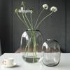 Minimalist Large Belly Glass Joy Vase for Hydroponic and Indoor Green Plants, Japanese Style