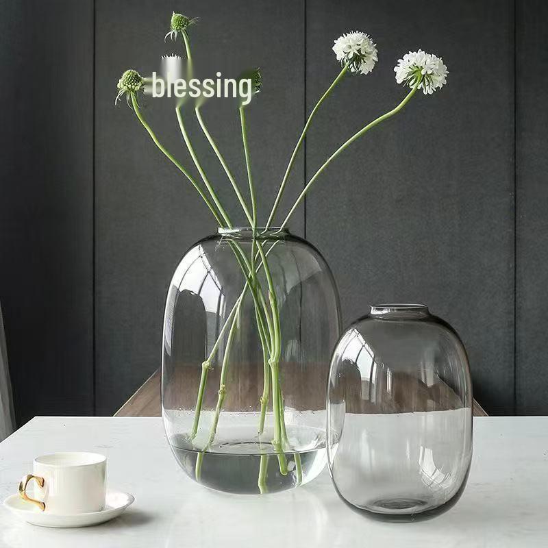 Minimalist Large Belly Glass Joy Vase for Hydroponic and Indoor Green Plants, Japanese Style