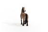 Schleich Horse Club Criollo Definiteivo 13948 (female)