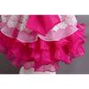 Girls' Dresses Skirts Bowknot Flower Girl Wedding Evening Dresses Birthday Party Puffy Dresses Programme Performance Dresses  Girl's Favourite Dress
