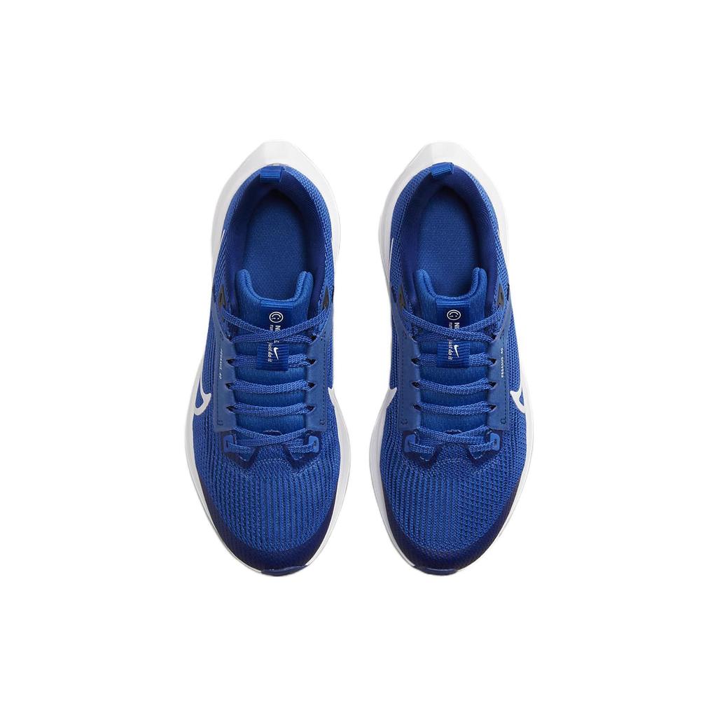Nike Air Zoom Pegasus 40 GS 'Game Royal' DX2498-400