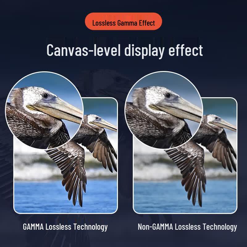 SANGENIU 43-Inch Digital Art Display and Advertising Screen CN plug (adapter included)