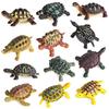 Marine Life Animal Models: Turtles & Tortoises Children's Toys & Ornaments
