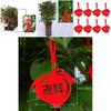 Beautifully Crafted 8pcs Chinese New Year Cny Outdoor Red Decor Festival Bonsai Money Tree Pendant