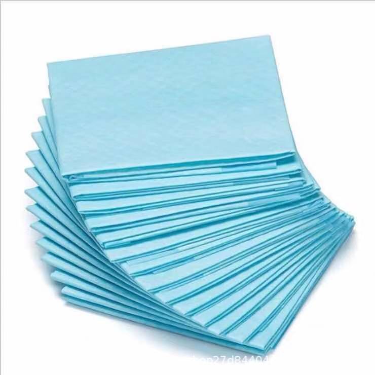 Heavy Water Absorbent Dog Training Mat - Quick Drying, Leak Proof, Multi Pack Disposable Pet Mat for Dogs