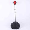 Standing Boxing Reflex Ball