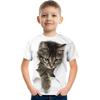 Boys 3D Graphic Animal 3D Print T Shirt Tee Short Sleeve 3D Print Summer Active Cute Basic Kids 3-12 Years School