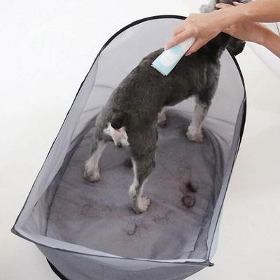 Köpek – Köpek bakım ürünleri