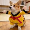 Taekwondo Player Dog Costume Funny Kung Fu Pet Apparel with Arm Cat Cosplay Costume for Dogs And Cats Party Attire Photo Prop