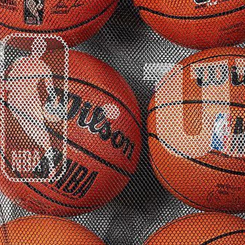 Wilson NBA Mesh Ball Bag