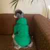Fashion Hoodie Dogs Clothing Pet Cotton Sweatshirt Dog Clothes Costume French Bulldog Warm Winter Puppy Designer Dog Clothes