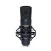 Marantz Professional USB Condenser Microphone for Vocal Shock and Storage Case Included Professional Gaming, DTM/DAW Recording, Streaming, Recording,