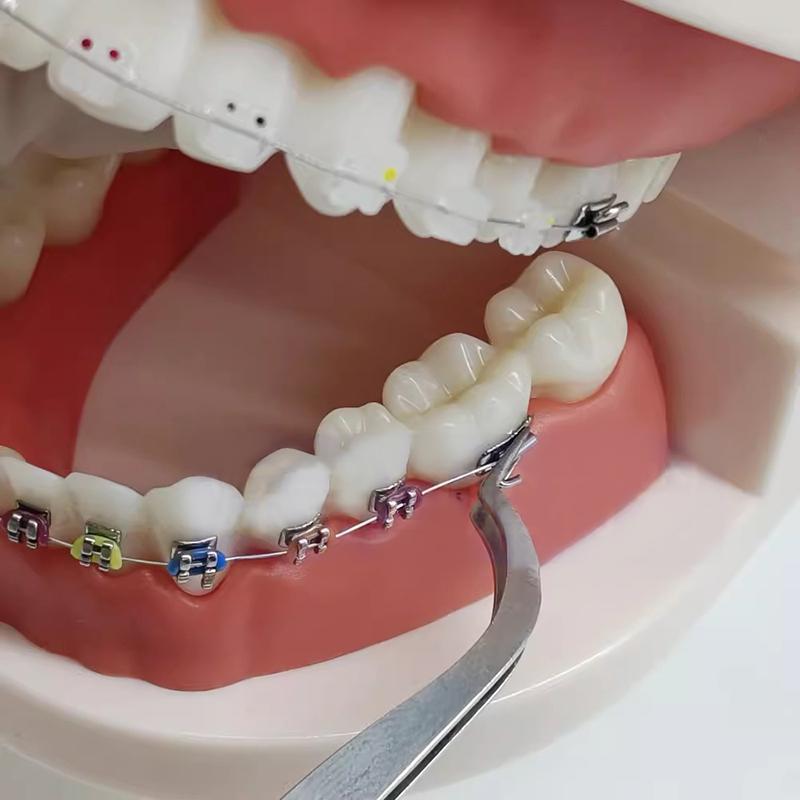 1 Stück Zahnärztliche Kieferorthopädische Posterior Bukkalröhrchen Klebezange Brackets Halter Ortho Bracket Platzierer Edelstahl Zahnärztliches Werkzeug