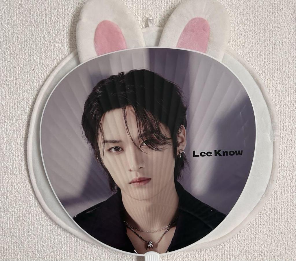 [USED] Straykids Reno Fan and Leebit Fan Case
