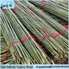 Bamboo Poles for Garden Support