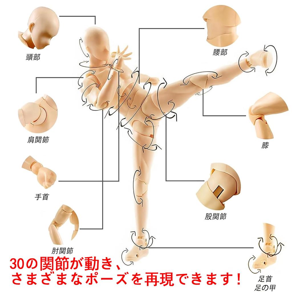 Sketch Doll 30-Jointed Posing Male and Female Models with Base for Cartoon Art Expression Muscle Sketch Model Figure Painting Practice Art Education P
