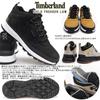 Timberland Field Trekker Low Lace Light Size Men's Sneakers, A6DKN, Taupe, 26.5cm