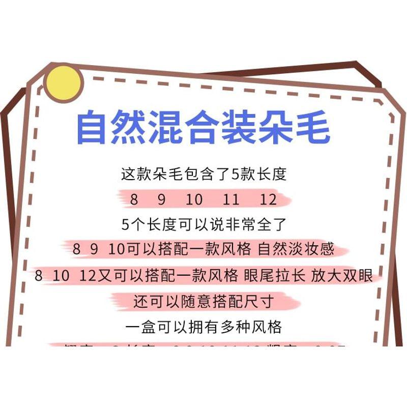 Aimo - Natural Crisscross Cluster False Eyelashes