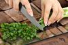 Glass Protective Plate for Stove 2x45x52 Wood