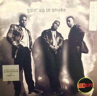 12inch Record TEN CITY  Goin Up In Smoke 4477266 Columbia 1994 US Dance  Electronica Used