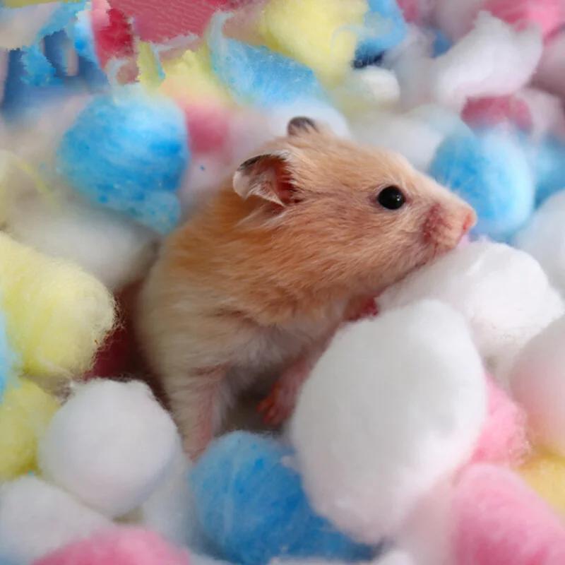 100 Stück Bunte Wattebällchen Kleintierspielzeug Für Hamster Ratte Maus Nistmaterial Winter Warmhalten Haus Füllmaterial Vorrat