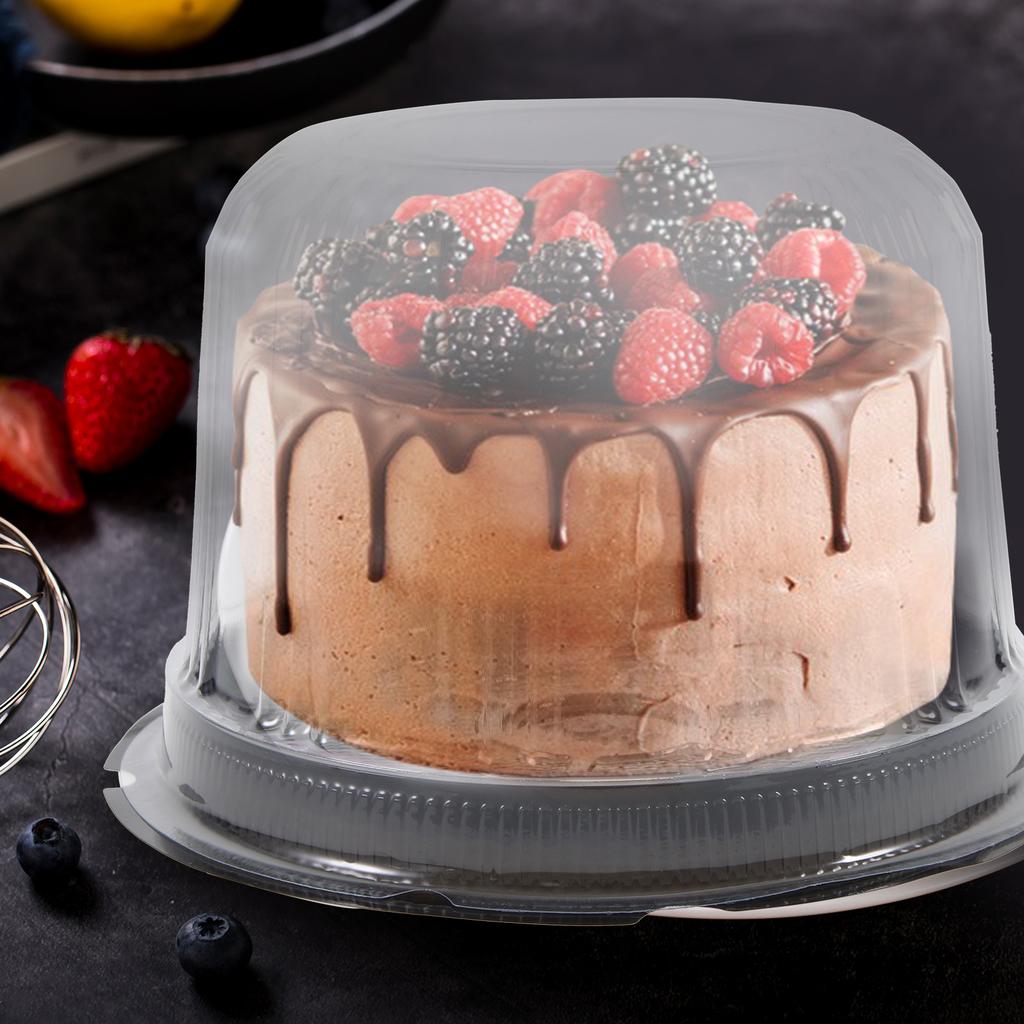 20 Pcs Packing Box Cake Dessert Containers Cold Shipping Boxes Flash Holder Plastic Multi-function Case Carrying Birthday