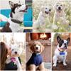 Pet Dogs for Cat Tag Resin Mold DIY Crafts Keychain Silicone Mould UV Epoxy Mold Handmade Jewelry Pendant Resin Casting