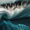 Shark marine life duvet cover digital print set suitable for boys and girls bedroom decoration bedding