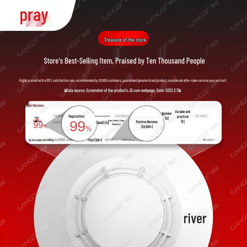 Gongqi Wireless Independent Smoke Detector