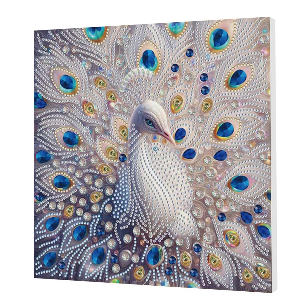 DIY Special Shape Drill Art Craft Pearl Diamond Painting with Frame 25x25cm Pearl Art Painting Set for Adults Home Wall Decor