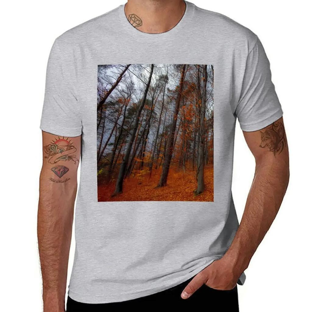 Forest in the Fall T-Shirt Short sleeve tee Blouse korean fashion clothes