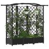 Raised Garden Bed with Trellis and Hanging Roof Black 163 X 40 X 126 Cm PP