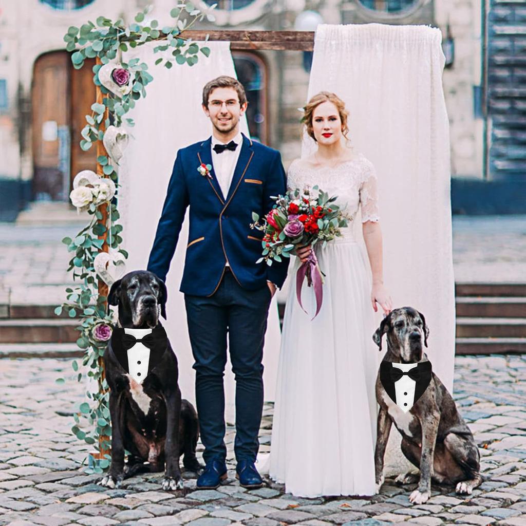 Dog tuxedo, dog suit, dog wedding bandana, necktie, adjustable tuxedo